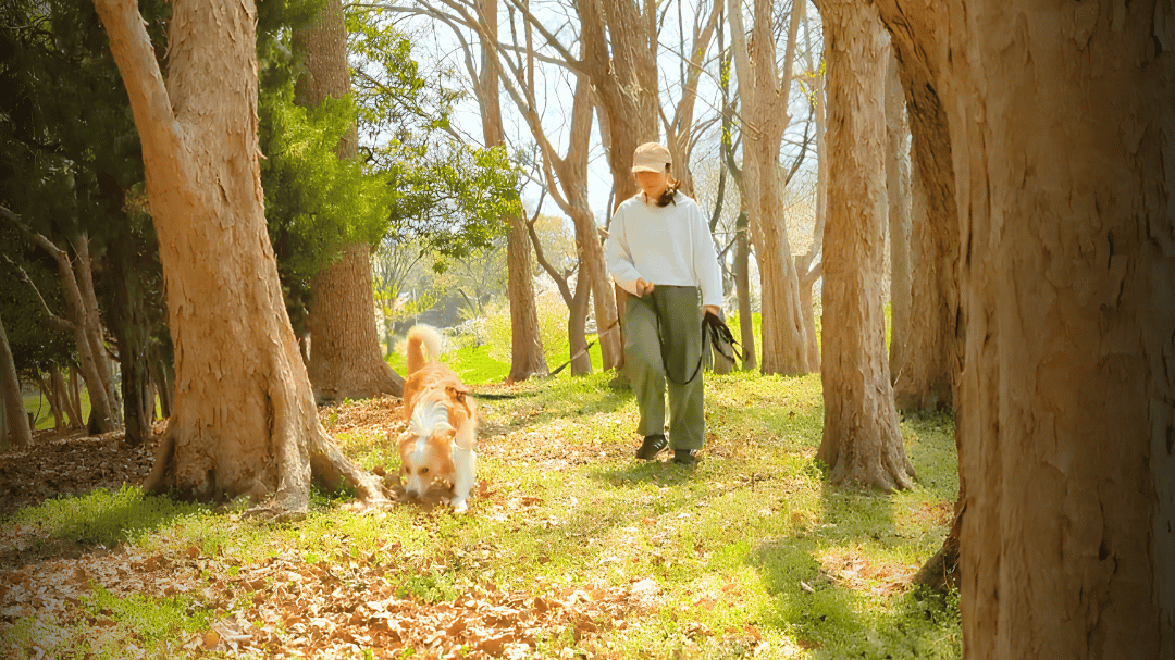 犬と共に観察している静かな空気感